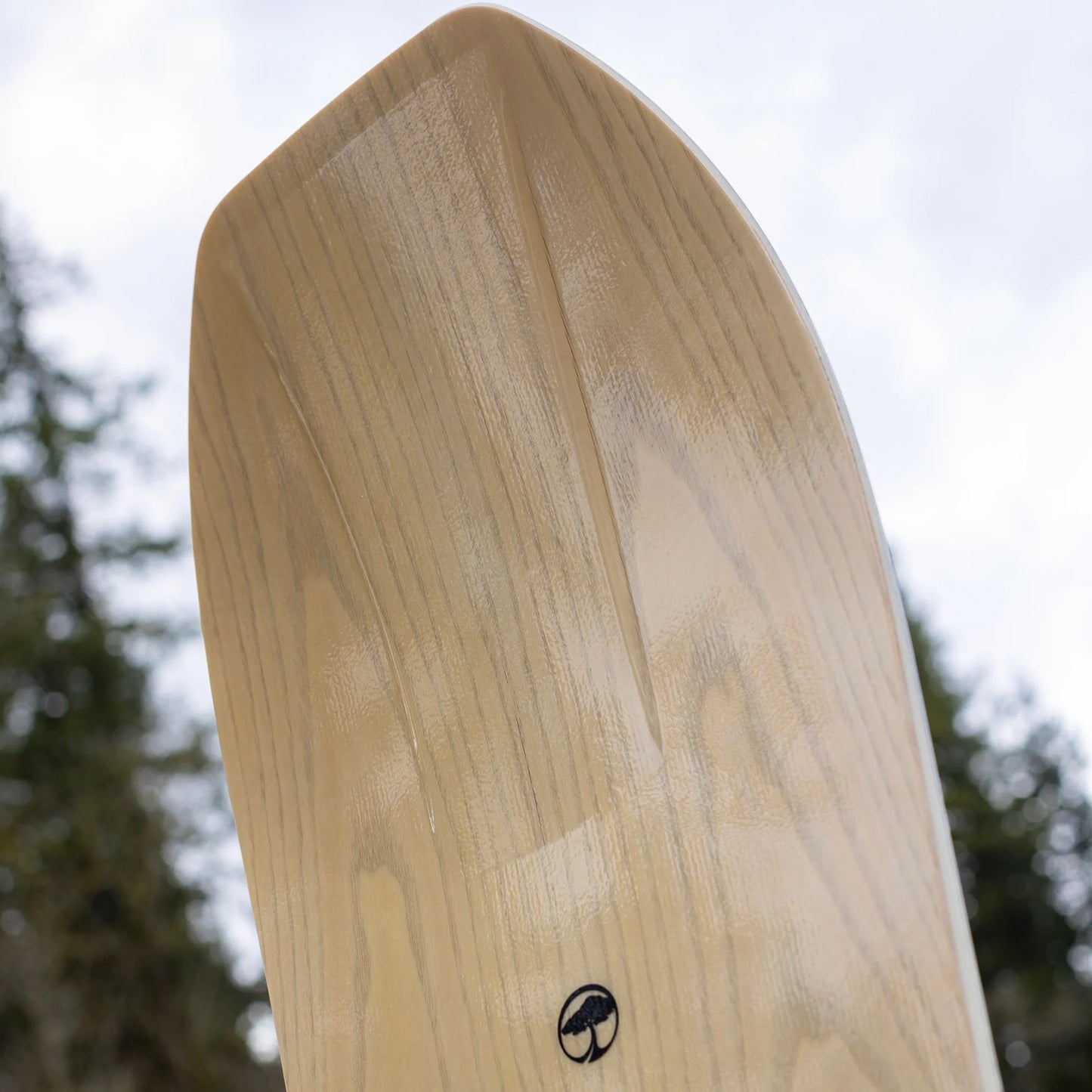 Arbor Terrapin Rocker Snowboard 2024
