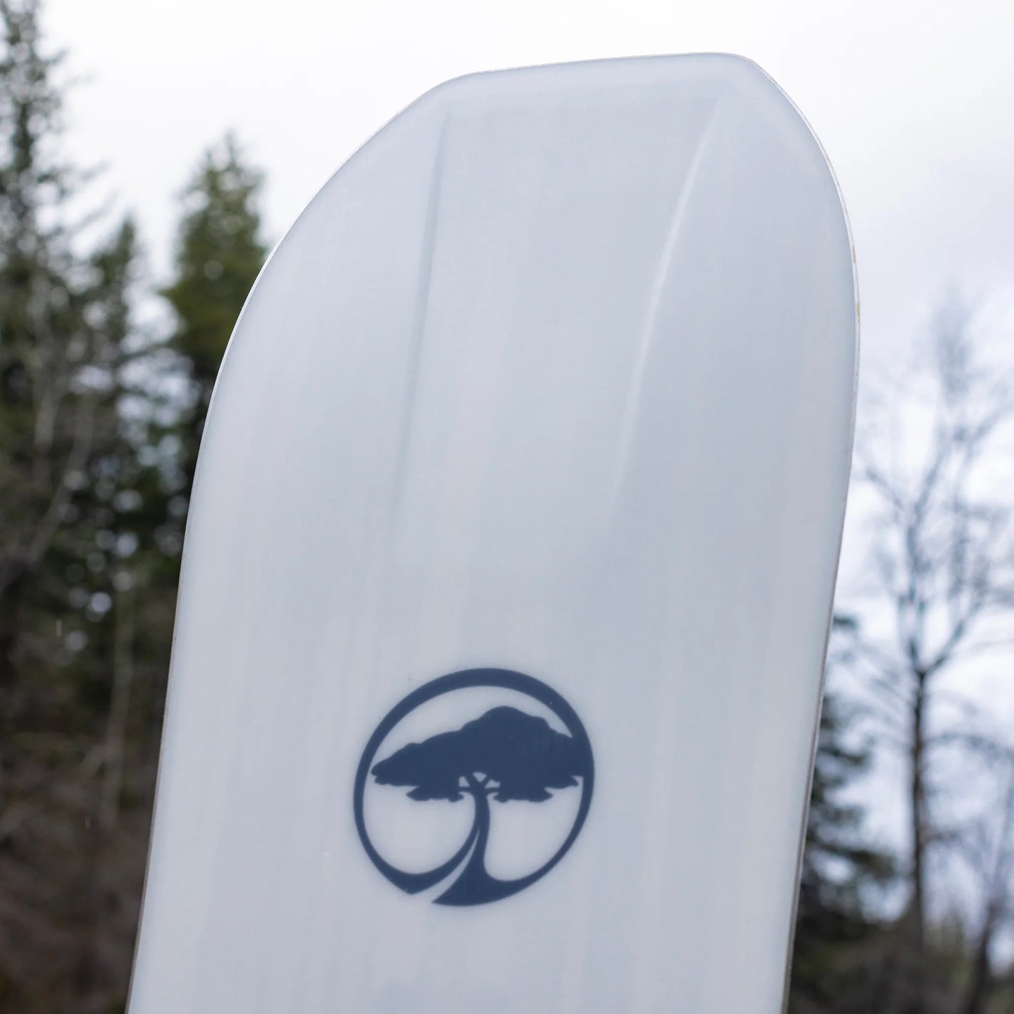 Arbor Terrapin Rocker Snowboard 2024