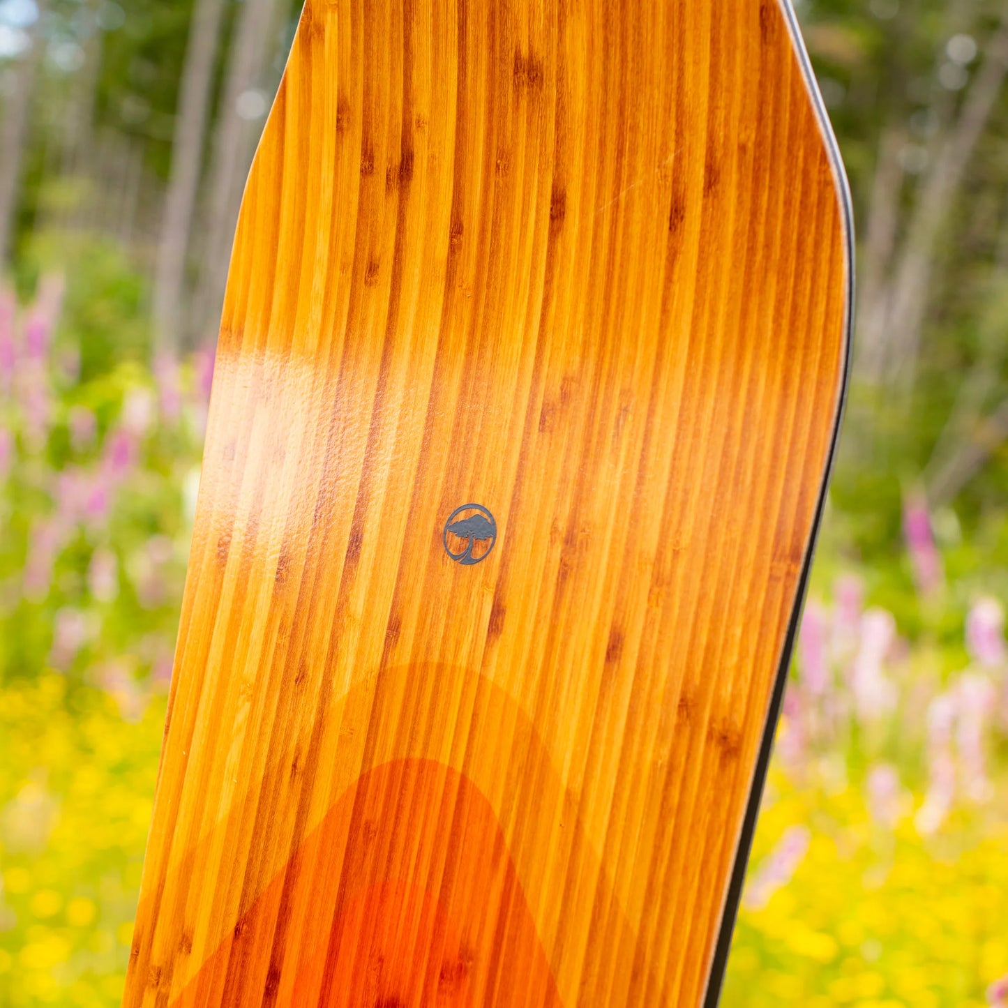 Arbor Shiloh Camber Snowboard 2024