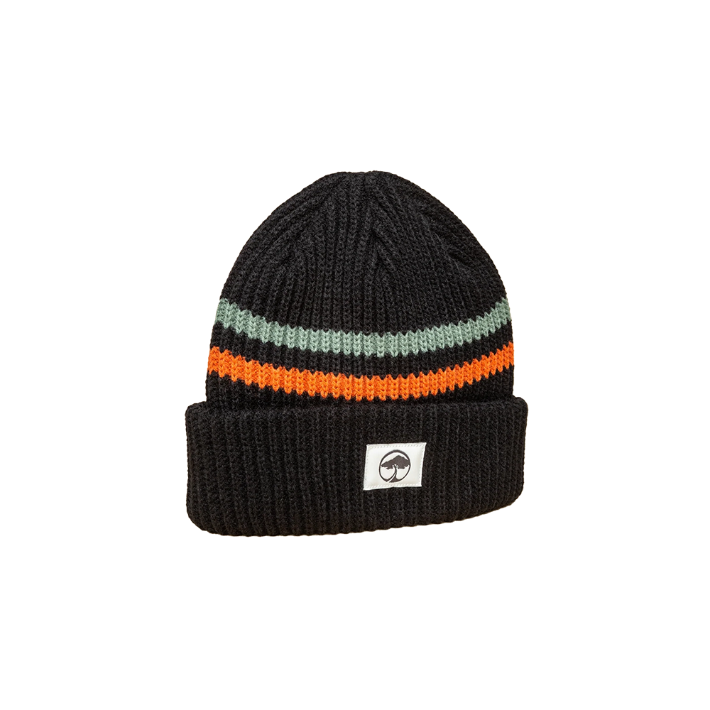 Arbor Element Beanie - Black