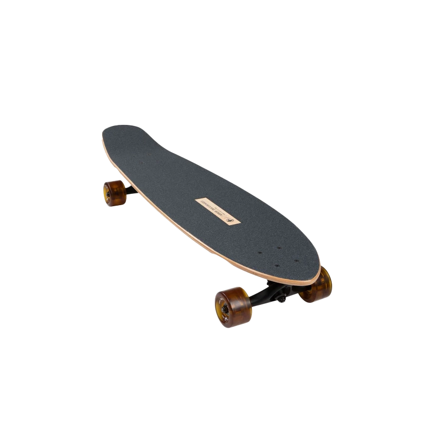 Arbor Mission Photo Longboard