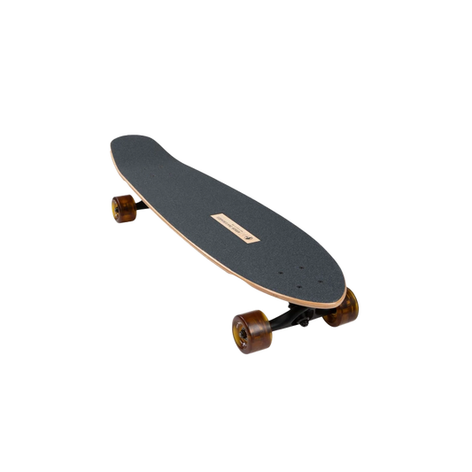 Arbor Mission Photo Longboard