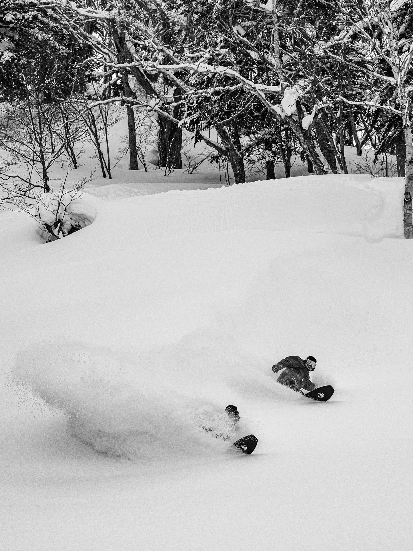 Arbor Padre Snowboard 2025 157