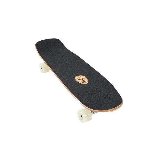 Arbor Pilsner Venice Cruiser