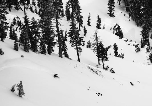 Korua Shapes Transition Finder Split