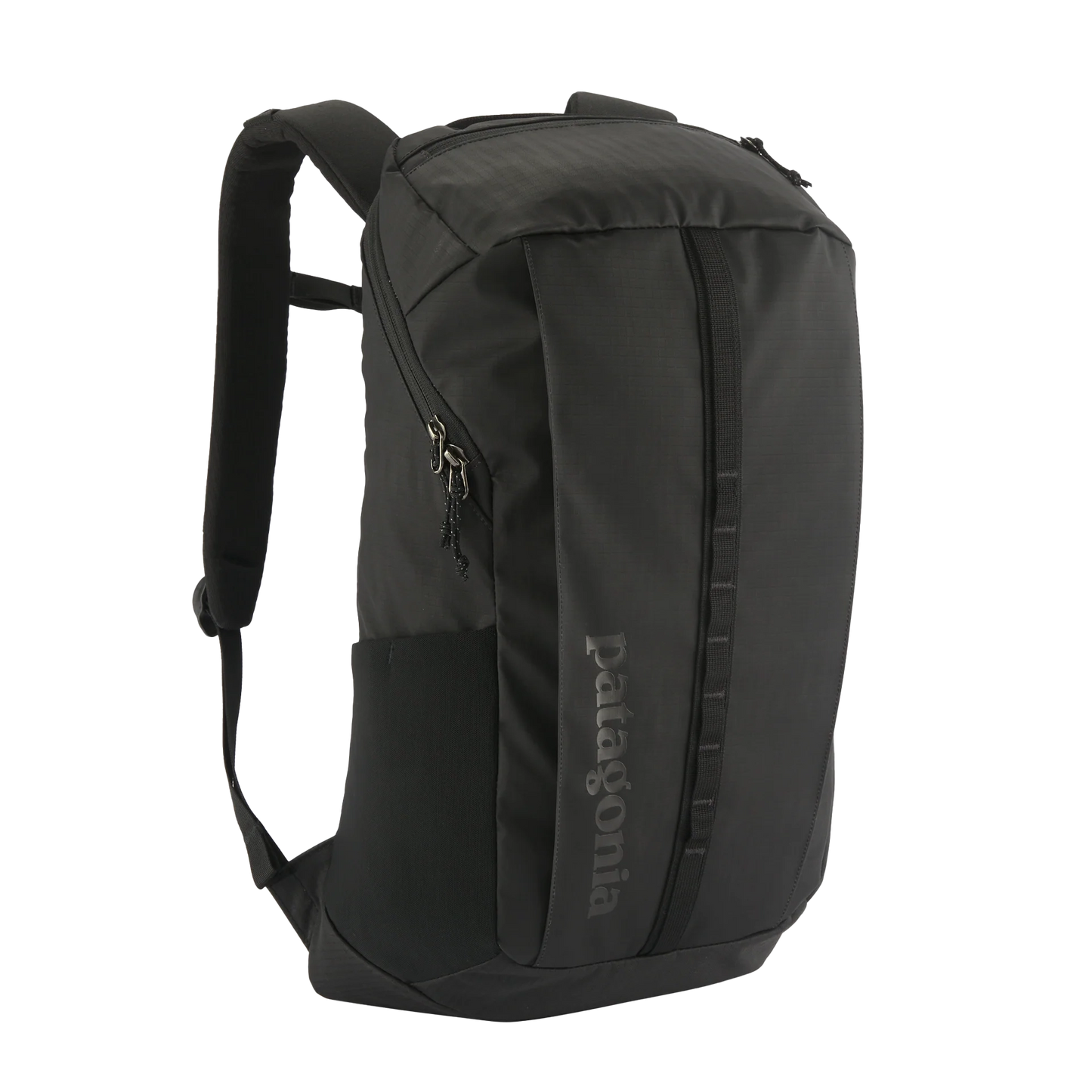 Patagonia Black Hole Pack 25L