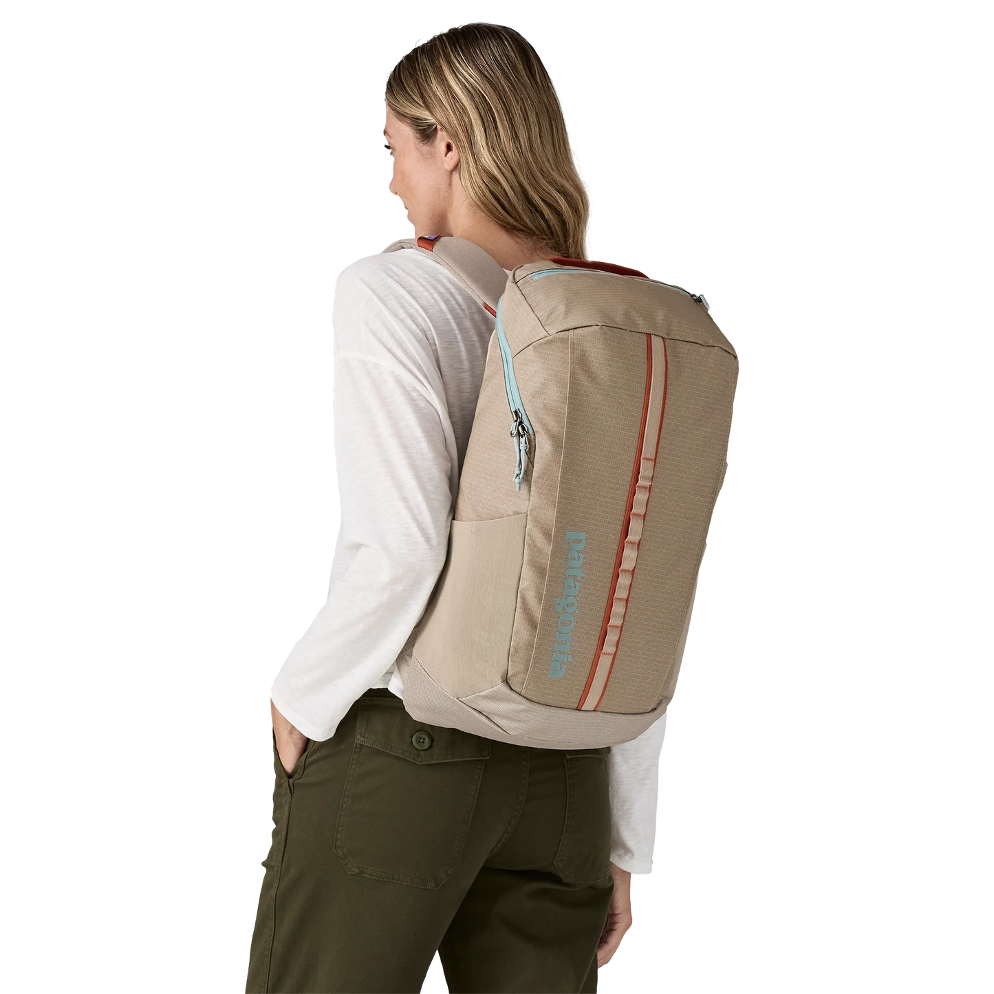 Patagonia Black Hole Pack 25L