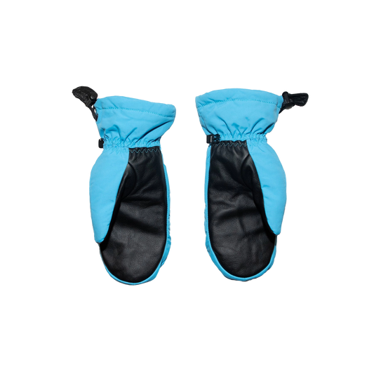 Salmon Arms Classic Mitt 2025 - Rainbow