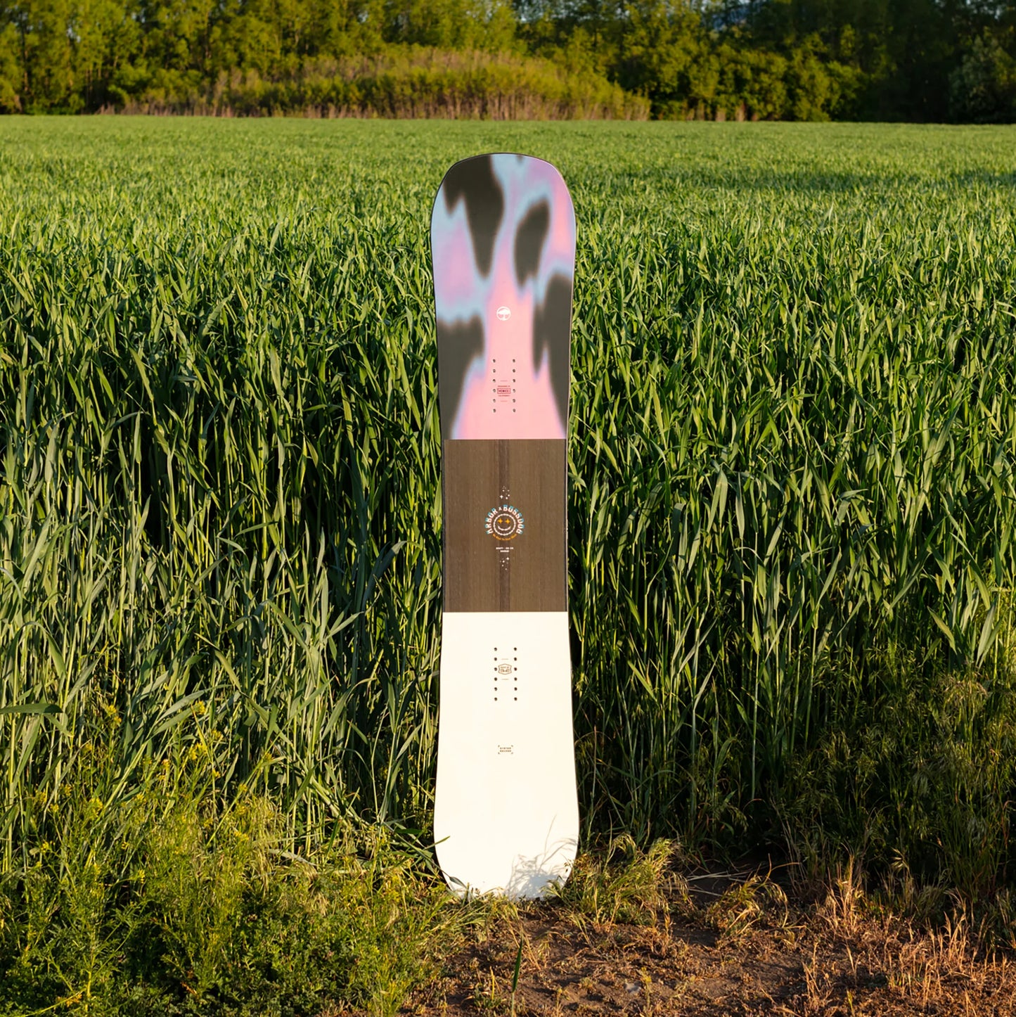 Arbor Draft Camber Snowboard 2023