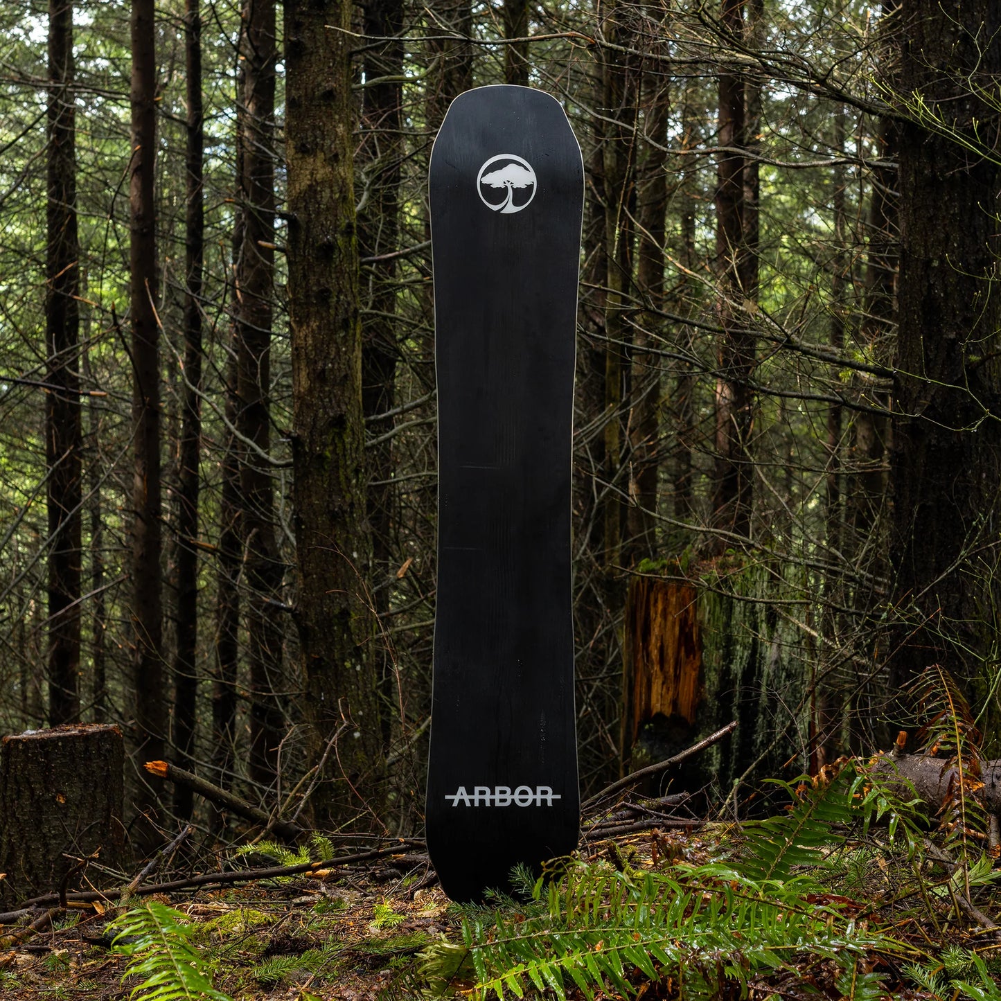 Arbor Coda Camber Snowboard 2024