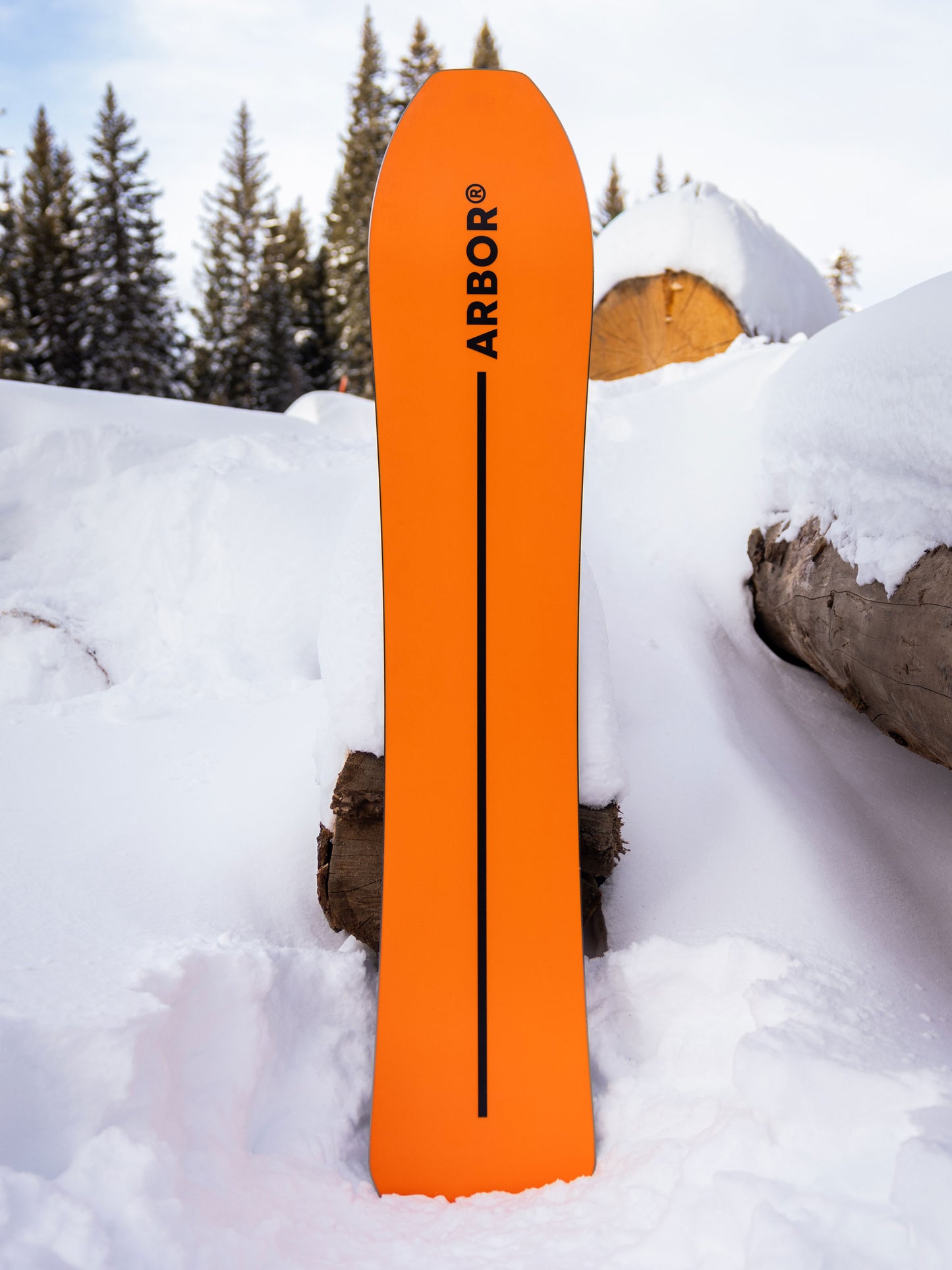 Arbor Padre Snowboard 2027