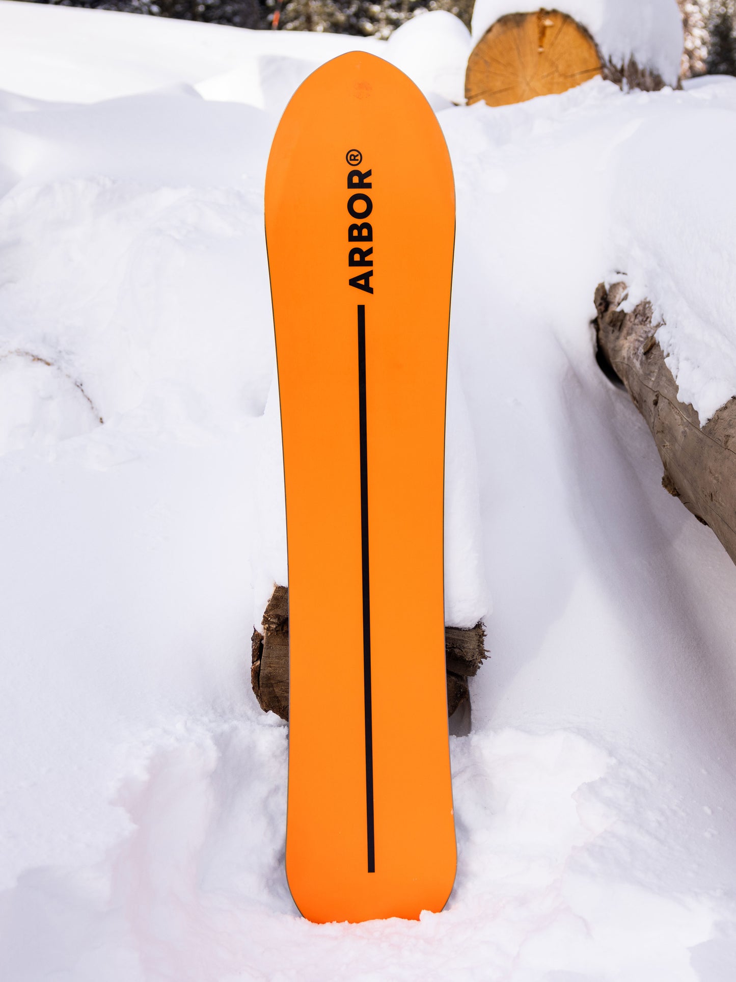 Arbor Rooster Fish Snowboard 2027