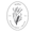 Dawn Store logo