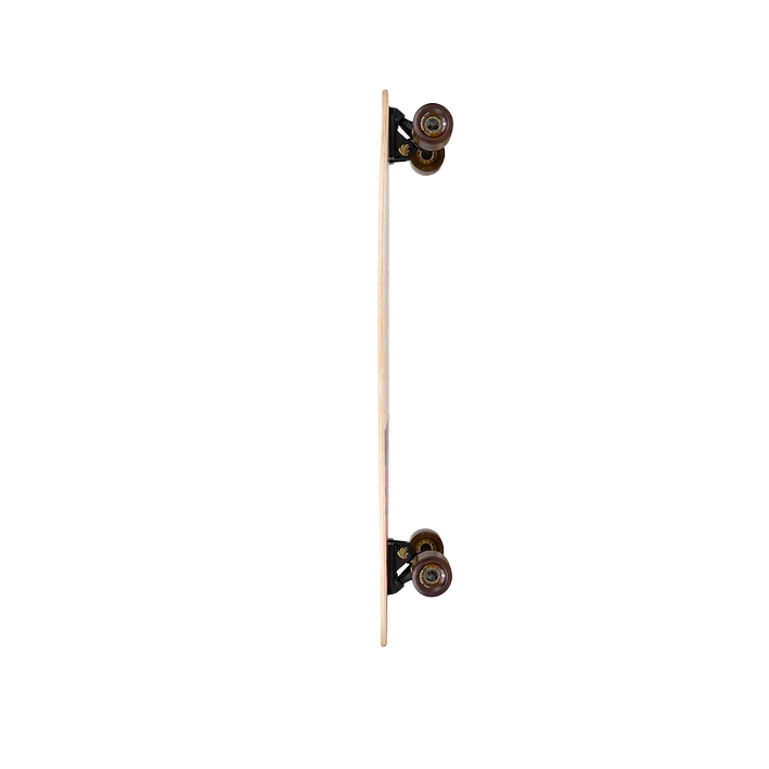 Arbor Fish Groundswell Longboard