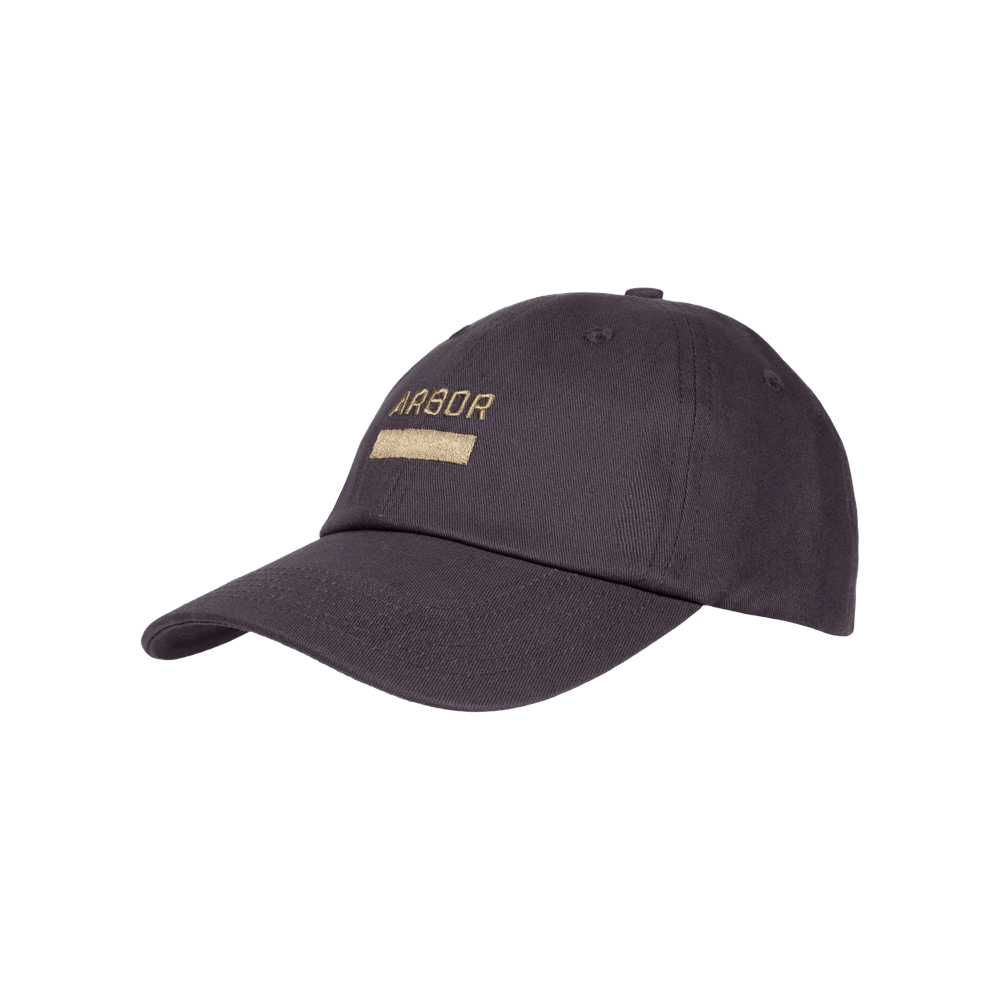 Arbor Surplus Cap