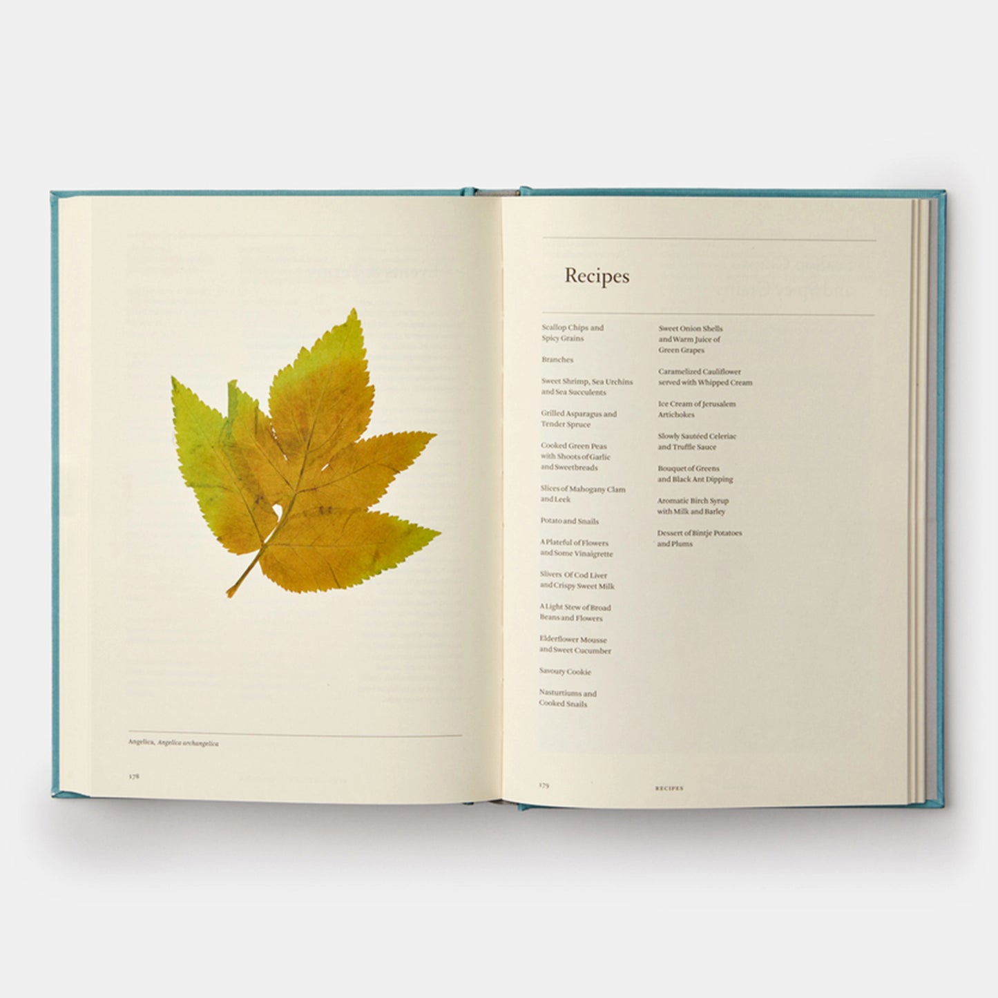 Work in Progress: A Journal