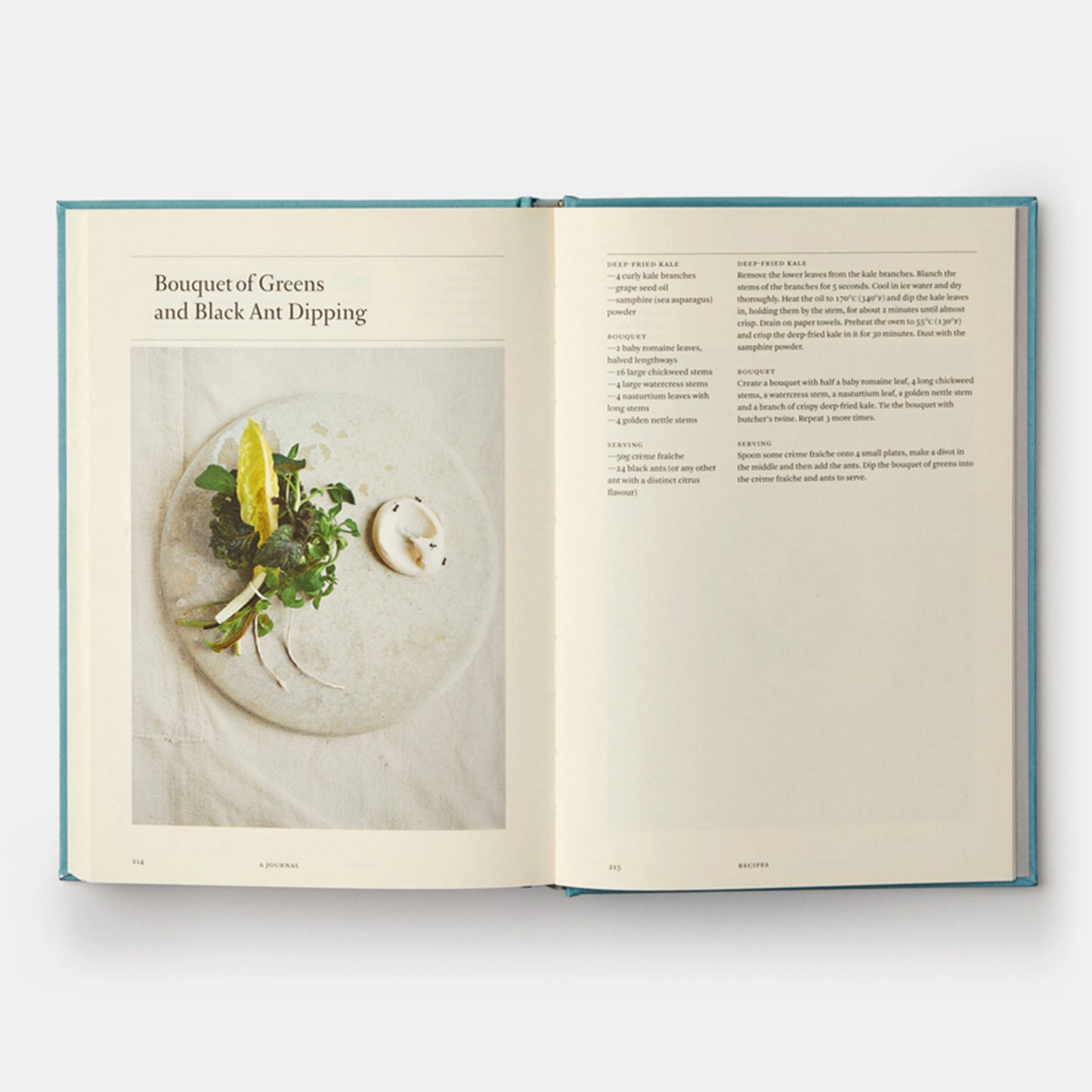 Work in Progress: A Journal